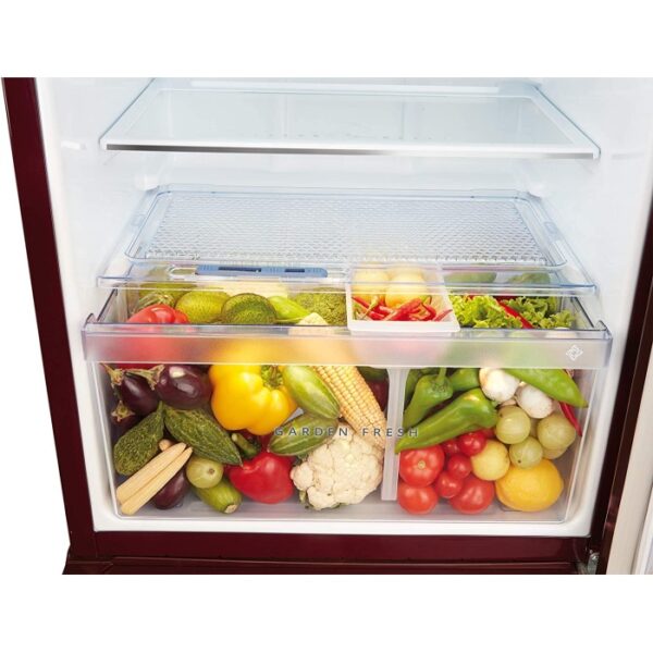 LG 185 L 1 Star Direct-Cool Single Door Refrigerator - Image 4